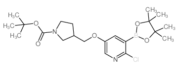 叔丁基3-((6-氯-5-(4,4,5,5-四甲基-1,3,2-二氧杂硼烷-2-基)吡啶-3-基氧基)甲基)吡咯烷-1-羧酸盐图片
