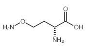 (R)-2-AMINO-4-(AMINOOXY)BUTANOIC ACID Structure