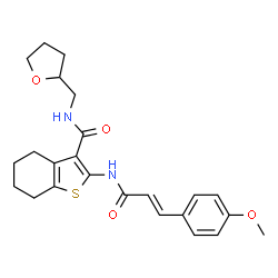 (E)-2-(3-(4-methoxyphenyl)acrylamido)-N-((tetrahydrofuran-2-yl)methyl)-4,5,6,7-tetrahydrobenzo[b]thiophene-3-carboxamide结构式