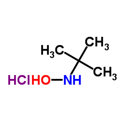 n-(tert-butyl)hydroxylamine hydrochloride structure