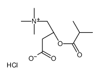 Isobutyryl-L-carnitine chloride结构式