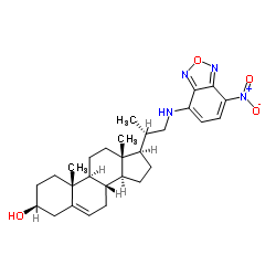 NBD 胆固醇结构式