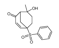 5-Benzenesulfonyl-8-hydroxy-8-methyl-bicyclo[3.3.1]non-3-en-2-one结构式