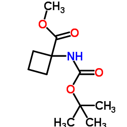 1-((叔丁氧基羰基)氨基)环丁烷羧酸甲酯结构式