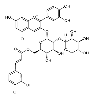 cyanidin 3-O-[2-O-(β-xylopyranosyl)-6-O-((E)-caffeoyl)-β-galactopyranoside]结构式