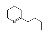 6-butyl-2,3,4,5-tetrahydropyridine Structure