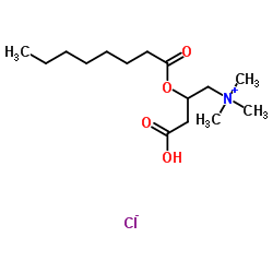 (±)-辛酰肉碱氯化物结构式