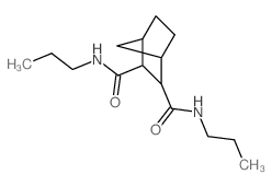 N,N-dipropylnorbornane-2,3-dicarboxamide结构式