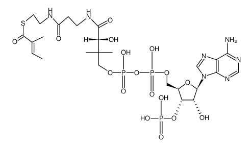 S-(2-methyl-trans-crotonoyl)-coenzyme-A结构式