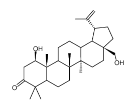 1β,28-Dihydroxylup-20(29)-en-3-one Structure