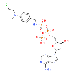 4-(N-2-chloroethyl-N-methylamino)benzyl-gamma-amide dATP结构式