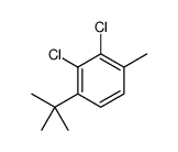 1-tert-butyl-2,3-dichloro-4-methylbenzene Structure