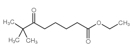 ethyl 7,7-dimethyl-6-oxooctanoate Structure