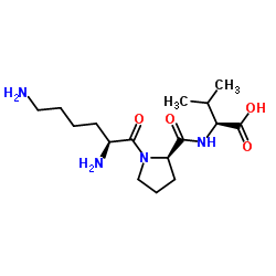 L-赖氨酰-D-脯氨酰-L-缬氨酸结构式