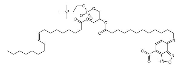 1-oleoyl-2-(12-((7-nitro-2,1,3-benzoxadiazol-4-yl)amino)dodecanoyl)phosphatidylcholine picture