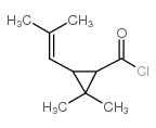 Chrysanthemoyl chloride Structure