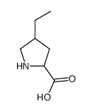 4-ethylpyrrolidine-2-carboxylic acid Structure