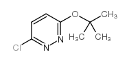Pyridazine,3-chloro-6-(1,1-dimethylethoxy)- Structure
