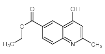 2-甲基-4-羟基-6-喹啉甲酸乙酯结构式