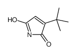 3-tert-butylpyrrole-2,5-dione结构式