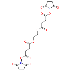 polyethylene glycol bis(succinimidyl succinate) structure