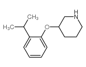 3-(2-异丙基苯氧基)哌啶结构式