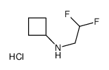 N-(2,2-difluoroethyl)cyclobutanamine,hydrochloride Structure