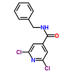 N4-苄基-2,6-二氯异烟酰胺结构式