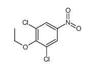 1,3-dichloro-2-ethoxy-5-nitrobenzene Structure