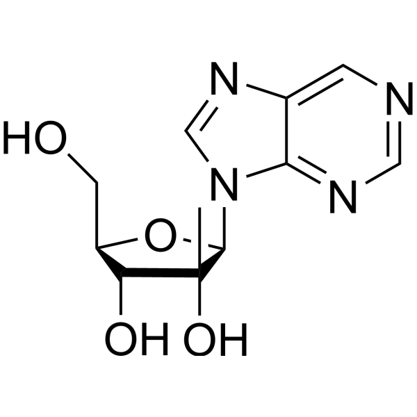 9-(2-β-C-Methyl-β-D-ribofuranosyl)purine Structure