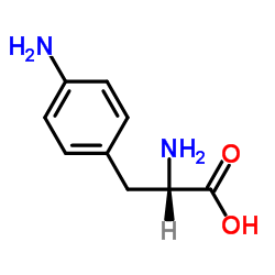 4-氨基-L-苯丙氨酸图片