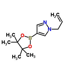 1-烯丙基-4-(4,4,5,5-四甲基-1,3,2-二氧硼杂环戊烷-2-基)-1H-吡唑结构式