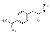 2-(4-(二甲基氨基)苯基)乙酰肼结构式
