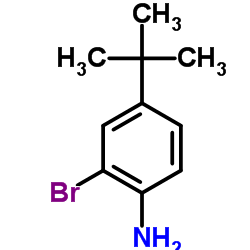 2-溴-4-叔丁基苯胺图片