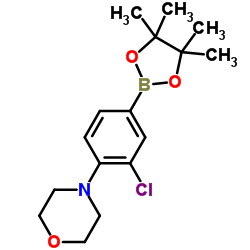 3-氯-4-(4-吗啉基)苯硼酸频哪醇酯图片