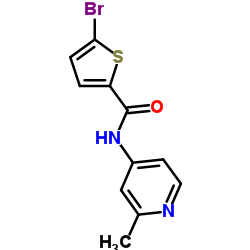 5-溴-N-(2-甲基吡啶-4-基)噻吩-2-甲酰胺结构式