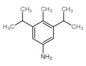 3,5-BIS(1-METHYLETHYL)--4-METHYLBENZENAMINE Structure