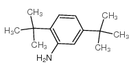 2,5-二叔丁基苯胺结构式