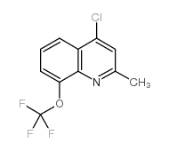 4-chloro-2-methyl-8-(trifluoromethoxy)quinoline结构式