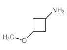 3-甲氧基环丁胺结构式