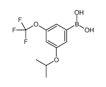 3-异丙氧基-5-(三氟甲氧基)苯硼酸结构式