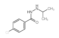 1-(p-Chlorobenzoyl)-2-isopropylhydrazine结构式