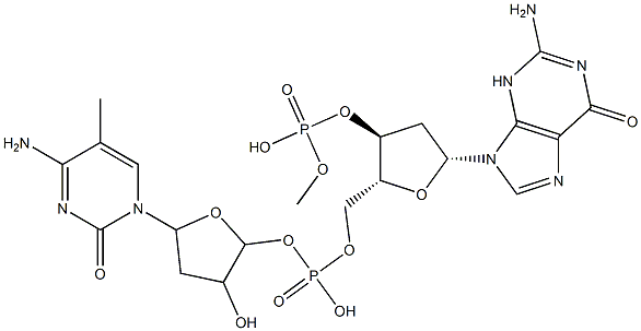 poly(dG-m(5)dC).poly(dG-m(5)dC) Structure