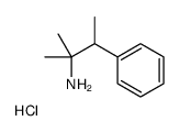 2-methyl-3-phenylbutan-2-amine,hydrochloride结构式