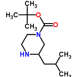 3-异丁基哌嗪-1-甲酸叔丁酯结构式