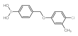 (4-((4-氯-3-甲基苯氧基)甲基)苯基)硼酸结构式