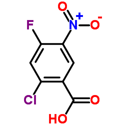 2-氯-4-氟-5-硝基苯甲酸结构式