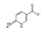 potassium,6-aminopyridine-3-carboxylate Structure