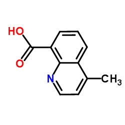 4-methylquinoline-8-carboxylic acid structure