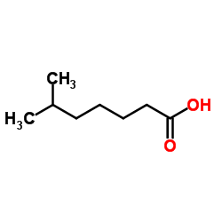 6-甲基庚酸结构式